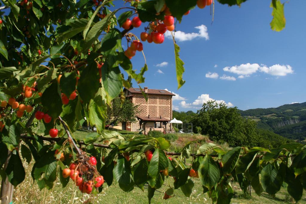 B&B Al Merlo Angelico Pellegrino Parmense Eksteriør bilde